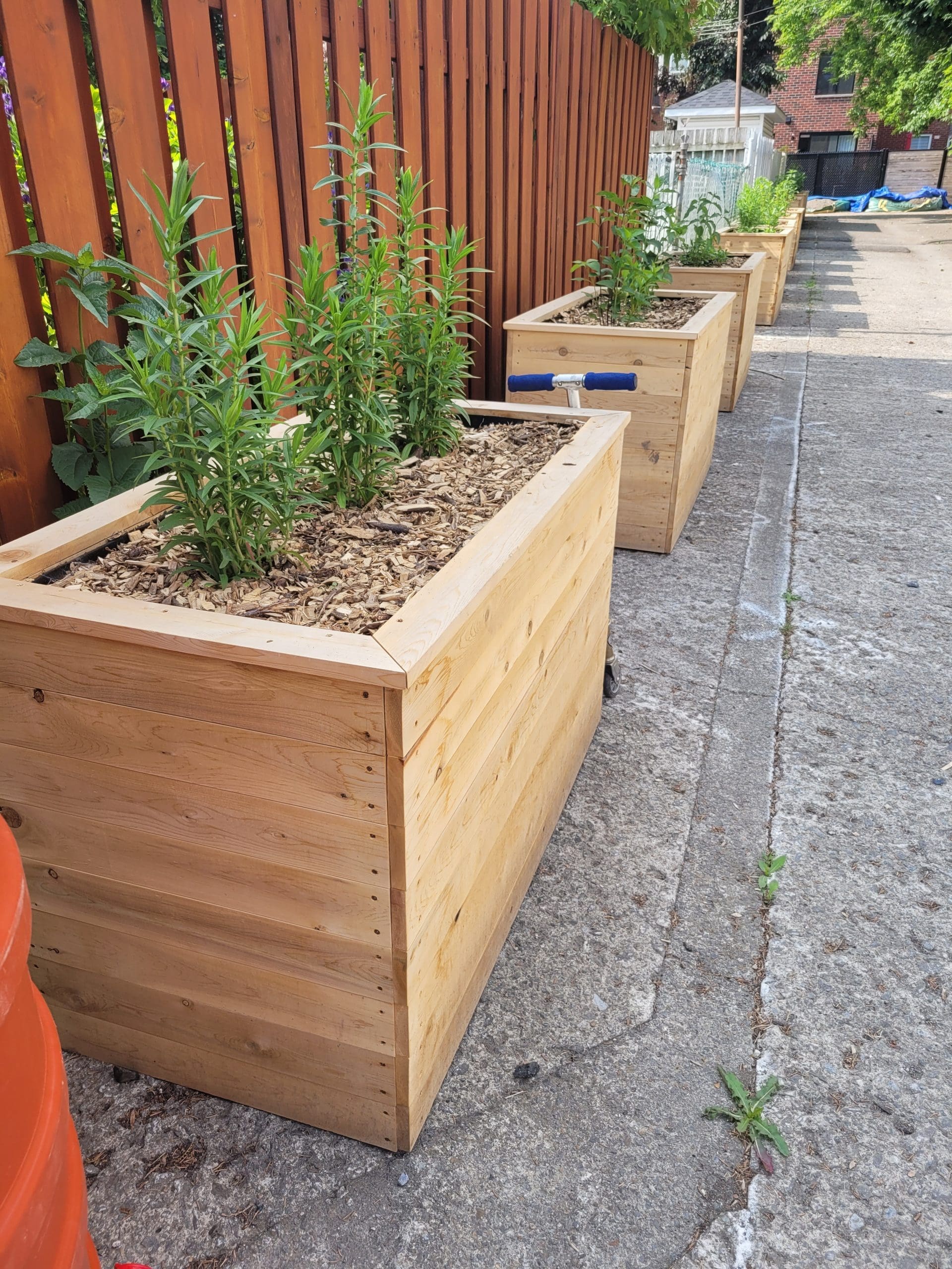 Bac de jardinage standard 1 Bac de jardinage standard